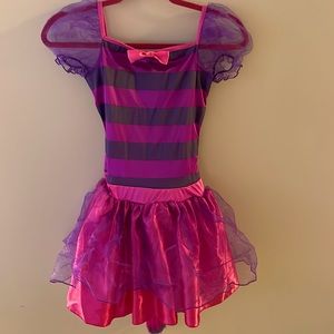 The Cheshire Cat costume from Alice adventures in wonderland